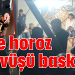 Eve horoz dövüşü baskını