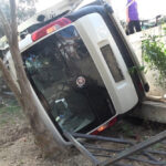 Evin bahçesine uçtu