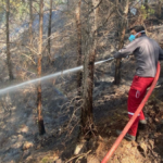 Gazipaşa'daki yangında 3 dönümlük orman alanı zarar gördü
