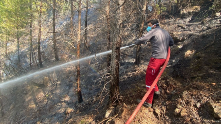 Gazipaşa'daki yangında 3 dönümlük orman alanı zarar gördü