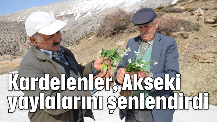Kardelenler, Akseki yaylalarını şenlendirdi