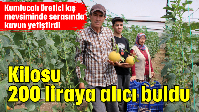 Kilosu 200 liraya alıcı buldu