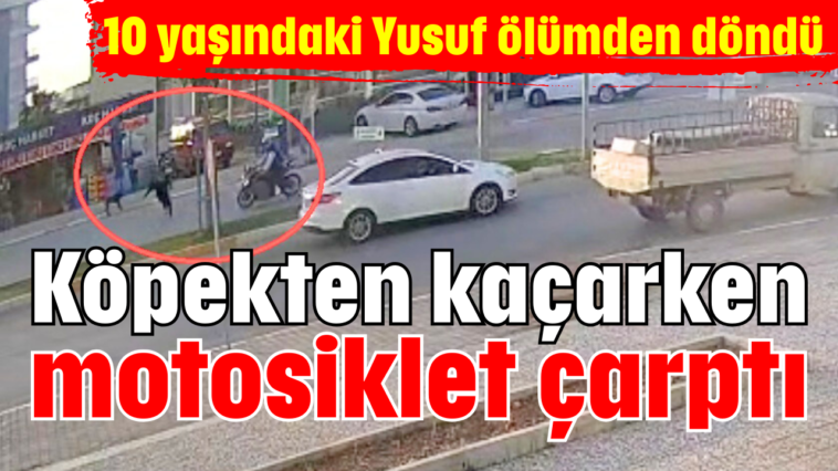Köpekten kaçarken motosiklet çarptı
