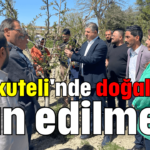 'Korkuteli'nde doğal afet ilan edilmeli'