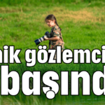 Minik gözlemciler işbaşında