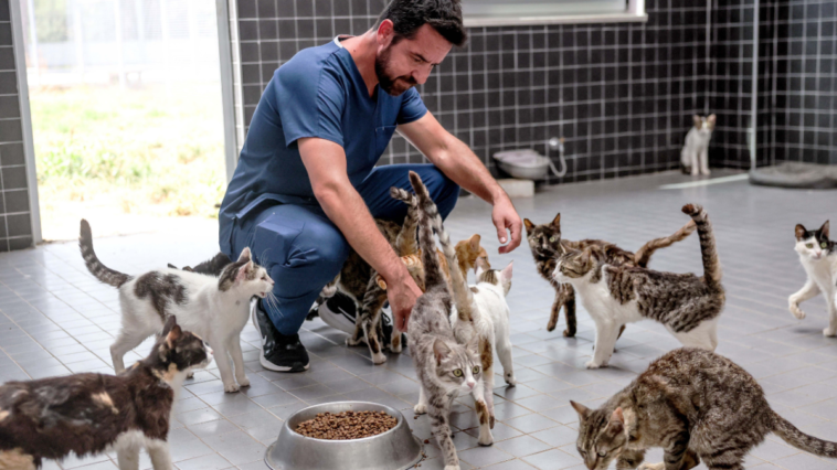 Patili dostlar bayramda ziyaret edilebilecek