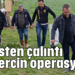Polisten çalıntı güvercin operasyonu