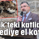 Serik'teki katliama belediye el koydu