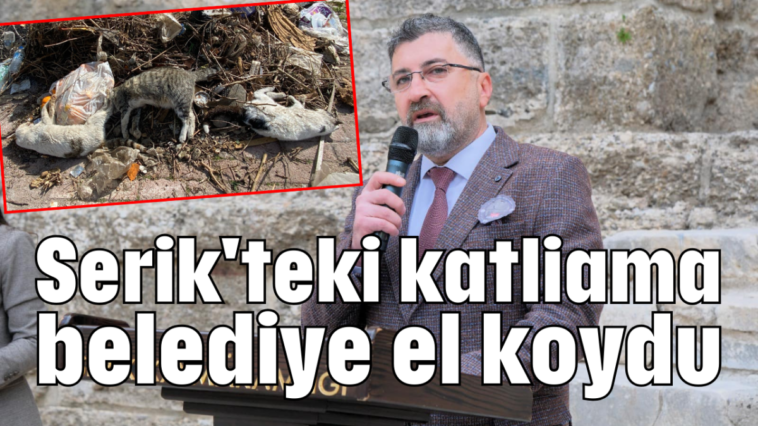 Serik'teki katliama belediye el koydu