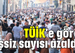 TÜİK'e göre işsiz sayısı azaldı