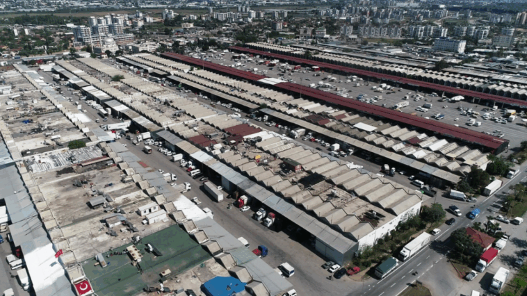 Antalya hallerinde fiyatlar önceki aya göre değişim gösterdi