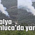 Antalya Kumluca’da yangın