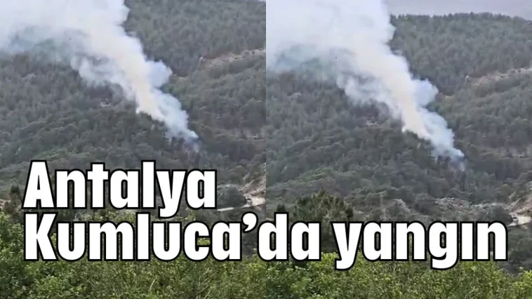 Antalya Kumluca’da yangın