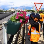 Antalya yaz renklerine bürünüyor