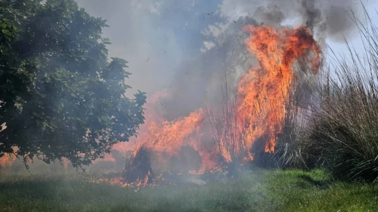 Antalya’da çıkan yangın 1.5 saatte söndürüldü