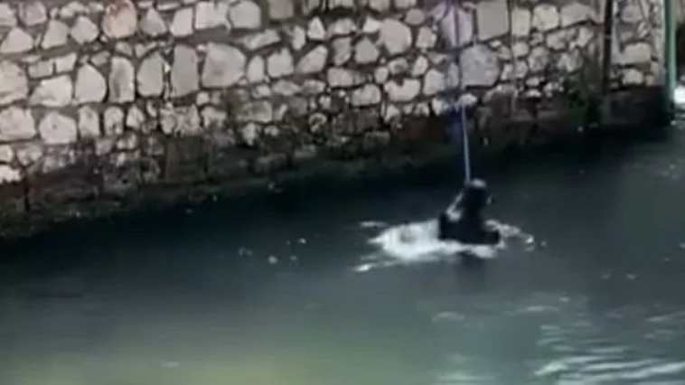 Antalya'da polisi görünce atladığı derede boğuluyordu