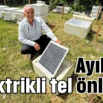 Ayılara elektrikli tel önlemi