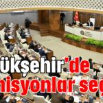 Büyükşehir'de komisyonlar seçildi