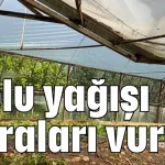 Dolu yağışı seraları vurdu