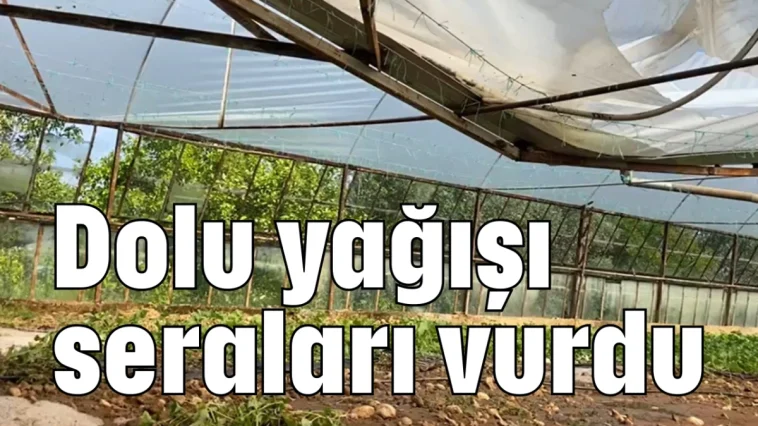 Dolu yağışı seraları vurdu