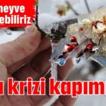 Gıda krizi kapımızda