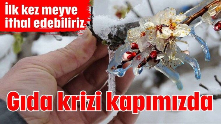 Gıda krizi kapımızda