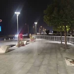 Konyaaltı sahil bandında zakkum katliamı