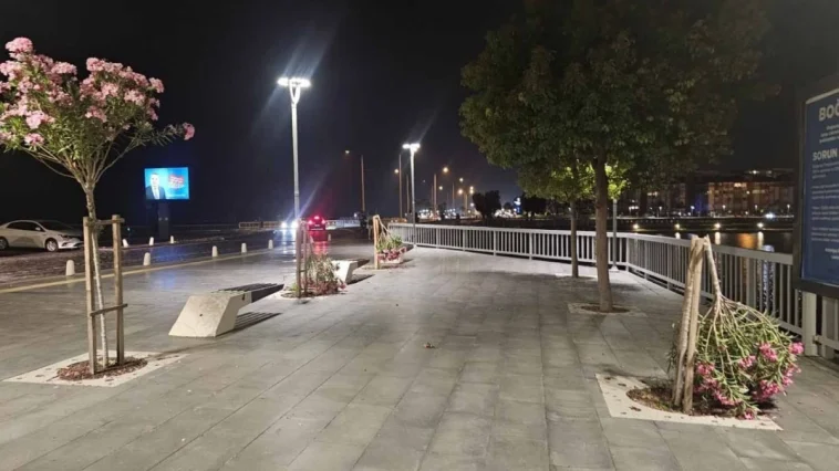 Konyaaltı sahil bandında zakkum katliamı