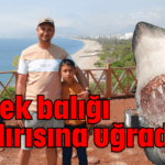 Köpek balığı saldırısına uğradılar