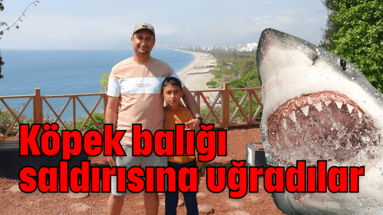 Köpek balığı saldırısına uğradılar