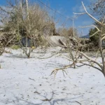 Manavgat’ta dolu yağışı üreticiyi üzdü