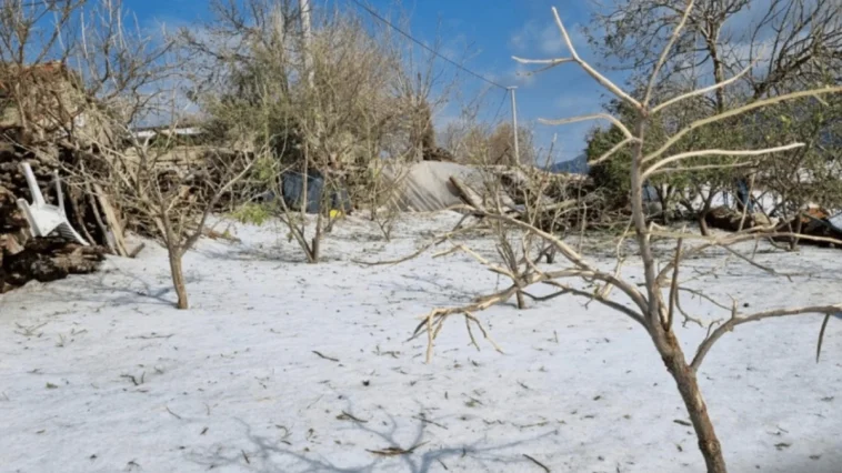 Manavgat’ta dolu yağışı üreticiyi üzdü