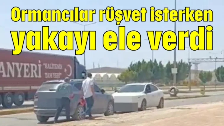 Ormancılar rüşvet isterken yakayı ele verdi