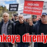 Serinkaya taş ocağı için direniyor!