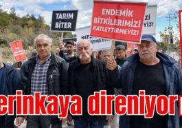 Serinkaya taş ocağı için direniyor!