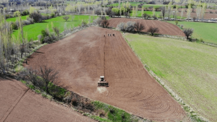 Tarım-GFE yıllık yüzde 28,92 arttı