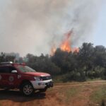 Zeytinpark'ta yangın