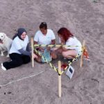 Manavgatta sezonun ilk deniz kaplumbağası yuvası