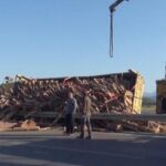 Tomruk yüklü kamyon devrildi