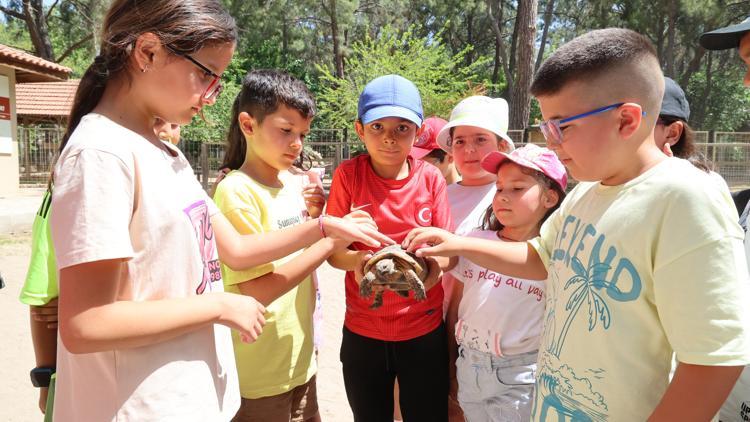 Büyükşehir’den çocuklara özel kaplumbağa etkinliği