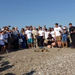 760 bin deniz kaplumbağası yavrusu denizle buluştu