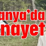Alanya’da cinayet