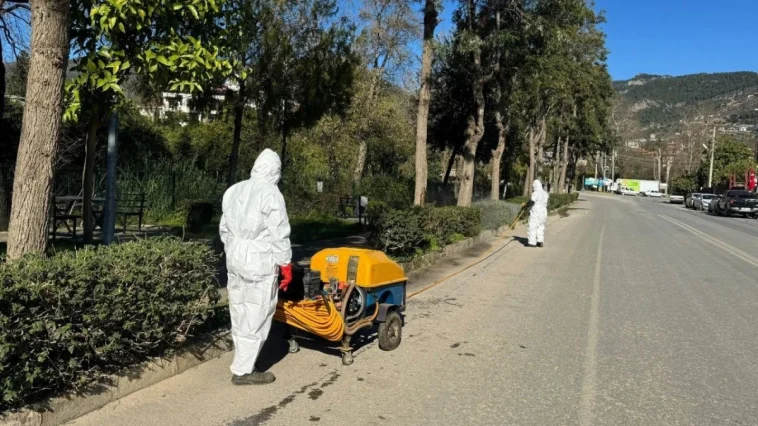 Alanya’da yeşil alanlarda zirai mücadele