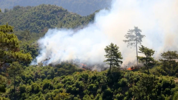 Alanya'daki yangında şiddetli rüzgar etkili oluyor