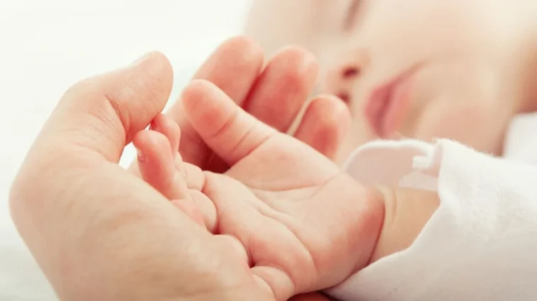 Antalya’da 2024 yılında 24.462 bebek dünyaya geldi