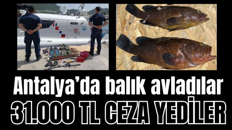 Antalya'da balık avladılar 31 bin lira ceza  yediler