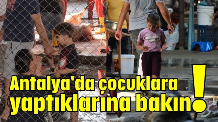 Antalya'da çocuklara yaptıklarına bakın!