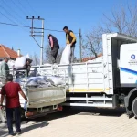 Antalya'da hayvancılığa Büyükşehir desteği