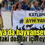 Antalya'da hayvanseverler sokaktaki dostlar için eylemde