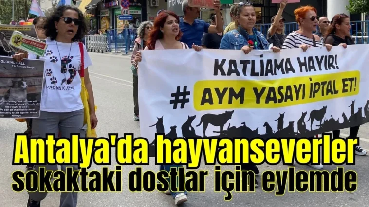 Antalya'da hayvanseverler sokaktaki dostlar için eylemde